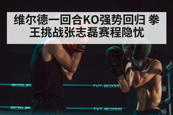 Zhang Zhilei boxing stance
